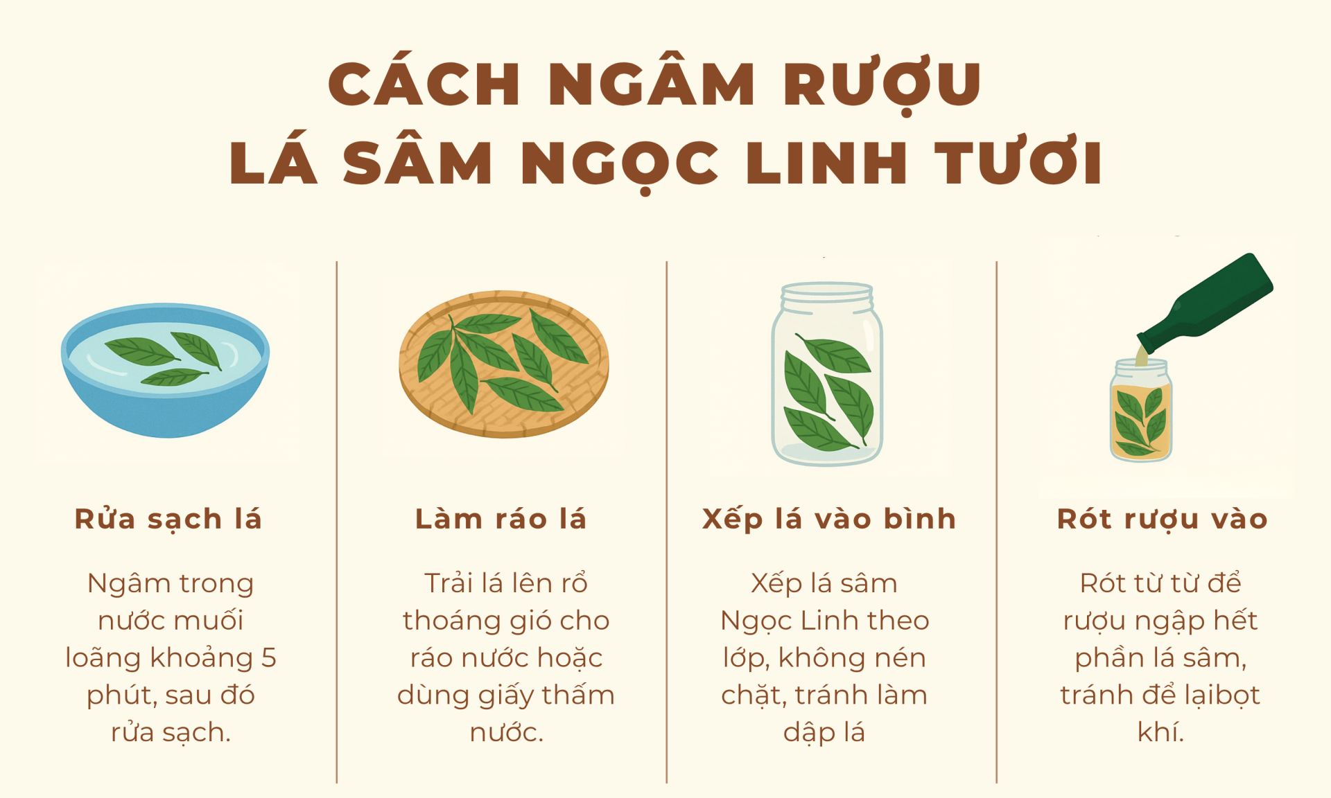 lá sâm ngọc linh bao nhiêu tiền